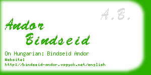 andor bindseid business card